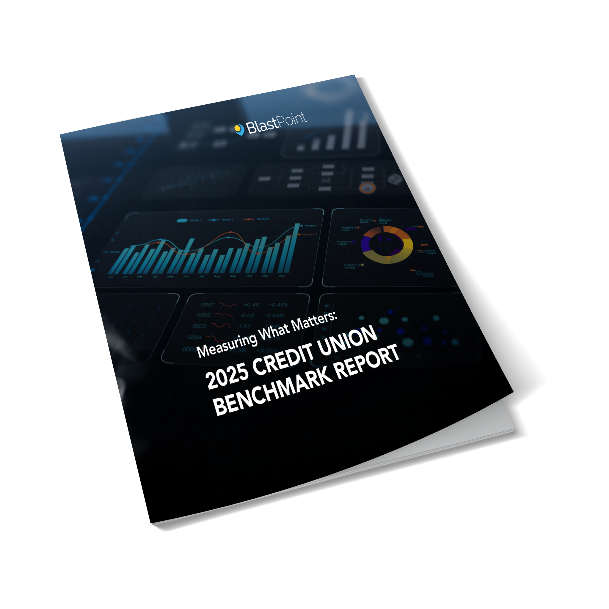 2025 Credit Union Benchmark Report