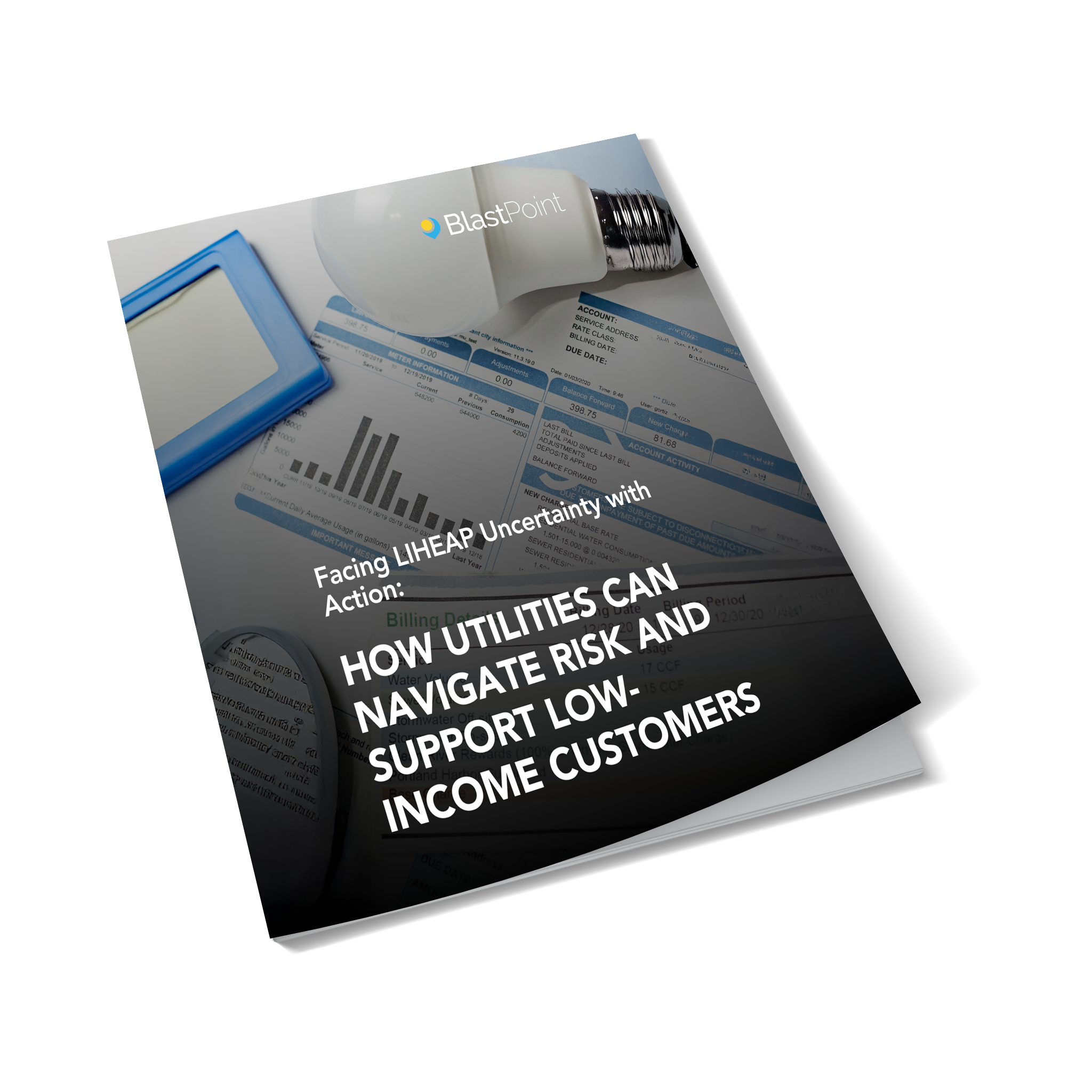 How Utilities Can Navigate Risk and Support Low-Income Customers