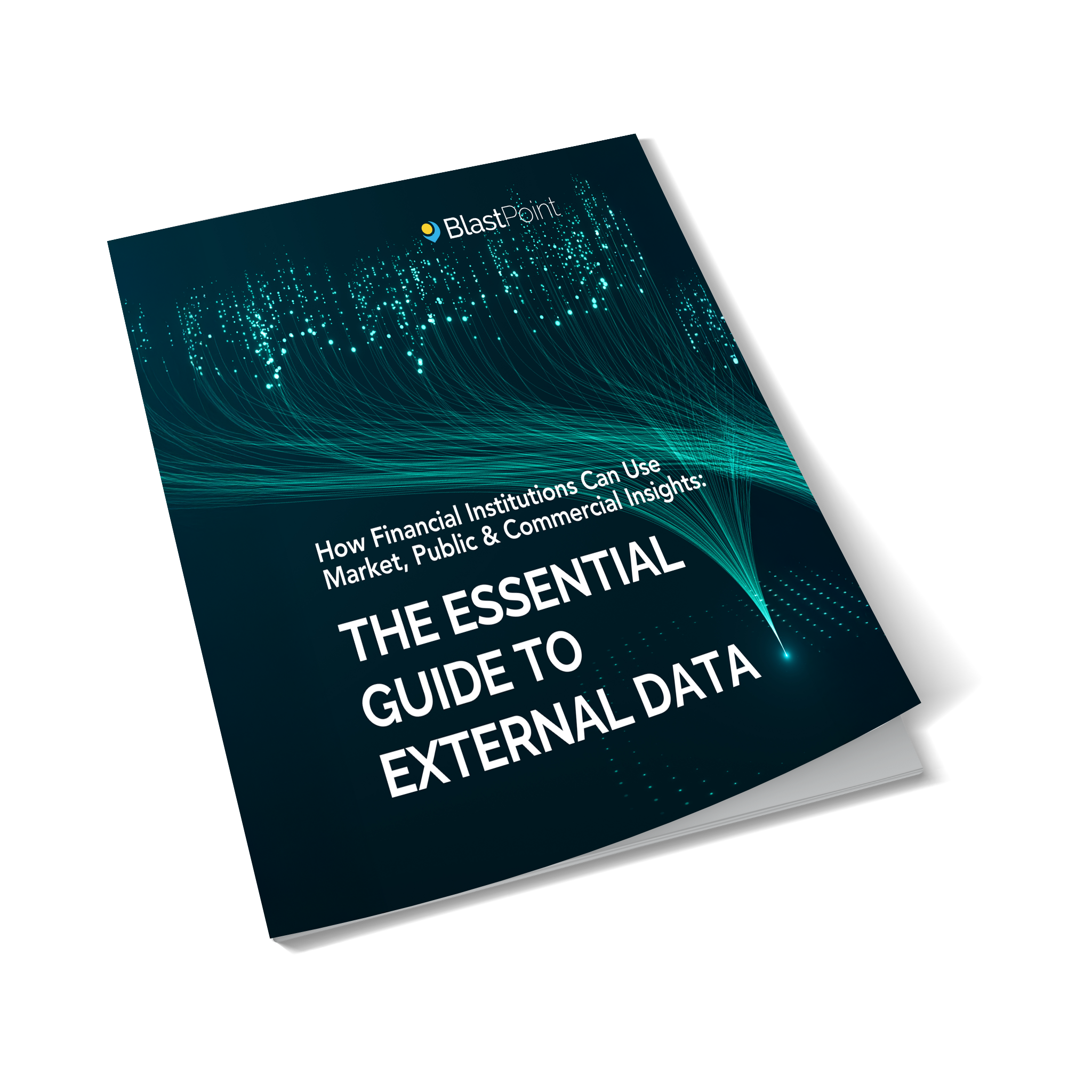 The Essential Guide to External Data